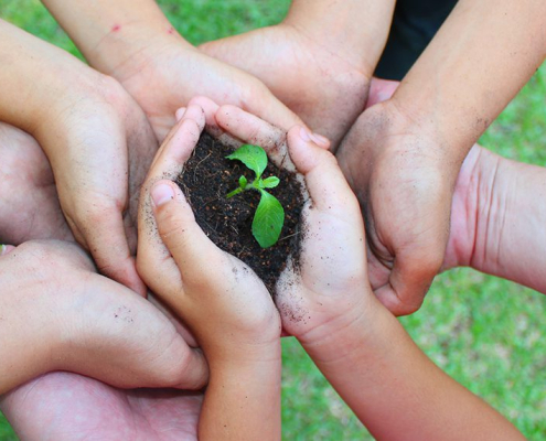 Community based education (CBE) with FBE